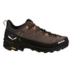 Ausprobiert -  Herren-Outdoorschuhe Salewa  Alp Trainer 2 Bungee Cord/Black  UK 8,5