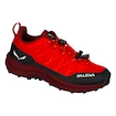 Baby im Freien Salewa  Wildfire 2 K