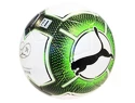 Ball Puma evoPower Vigor 3.3 Tournament with the original signature of Petr Cech