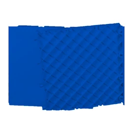 Blue Sports Hockey Training Surface 10 tiles