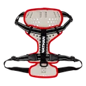 Canicross-Gurt Nathan  K9 Dog Harness M, grau