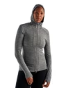 Damen Hoodie Icebreaker  Quantum II LS Zip Hood