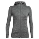 Damen Hoodie Icebreaker  Quantum II LS Zip Hood