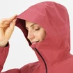 Damen Jacke  Salomon  Outline GTX®  2.5L Jkt Earth Red