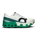 Damen Laufschuhe On Cloudmonster Hyper White/Mint  EUR 40