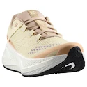 Damen Laufschuhe Salomon Aero Glide 3 GRVL Shortbread/White/Fusion Coral