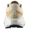 Damen Laufschuhe Salomon Aero Glide 3 GRVL Shortbread/White/Fusion Coral