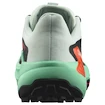 Damen Laufschuhe Salomon Genesis Bay/Electric Green/Cherry Tomato