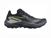 Damen Laufschuhe Salomon Genesis W Carbon/Grisaille/Aloe Wash