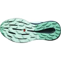 Damen Laufschuhe Salomon Pulsar Trail W