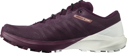 Damen Laufschuhe Salomon Sense 4  PRO W Plum Caspia