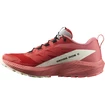 Damen Laufschuhe Salomon  SENSE RIDE 5 W