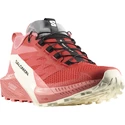 Damen Laufschuhe Salomon  SENSE RIDE 5 W