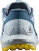 Damen Laufschuhe Salomon Sense Ride W Arctic Ice