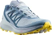 Damen Laufschuhe Salomon Sense Ride W Arctic Ice