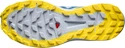 Damen Laufschuhe Salomon Sense Ride W Arctic Ice