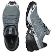 Damen Laufschuhe Salomon Speedcross 6 Gore-Tex Flint Stone/Black/Heather