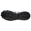 Damen Laufschuhe Salomon Speedcross 6 Gore-Tex Flint Stone/Black/Heather