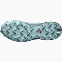 Damen Laufschuhe Salomon Speedcross Speedcross 5 W Slate/Trooper