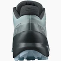 Damen Laufschuhe Salomon Speedcross Speedcross 5 W Slate/Trooper