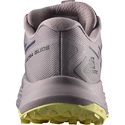Damen Laufschuhe Salomon Ultra Glide W Quail/Yellow Iris