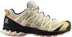 Damen Laufschuhe Salomon XA Pro 3D V8 Frozen Dew