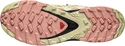 Damen Laufschuhe Salomon XA Pro 3D V8 Frozen Dew