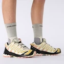 Damen Laufschuhe Salomon XA Pro 3D V8 Frozen Dew