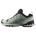 Damen Laufschuhe Salomon Xa Pro 3D V9 Gore-Tex Quiet Shade/Lily Pad/Blue Haze