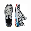 Damen Laufschuhe Salomon XA Pro 3D V9 GTX W LunarRock/White/Black