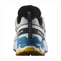 Damen Laufschuhe Salomon XA Pro 3D V9 GTX W LunarRock/White/Black