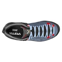 Damen-Outdoorschuhe Salewa  MTN TRAINER 2 GTX