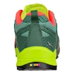 Damen-Outdoorschuhe Salewa  WS Wildfire