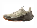 Damen-Outdoorschuhe Salomon ELIXIR ACTIV W White Pepper/Falcon/Papaya