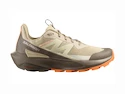 Damen-Outdoorschuhe Salomon  ELIXIR ACTIV W White Pepper/Falcon/Papaya