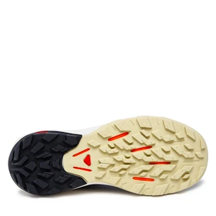 Damen-Outdoorschuhe Salomon  OUTpulse GTX Mood Indigo
