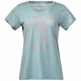 Damen T-Shirt Bergans Graphic Wool W Tee