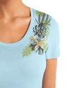 Damen T-Shirt Icebreaker  Tech Lite II SS Scoop Tee Fabulous Fer Haze