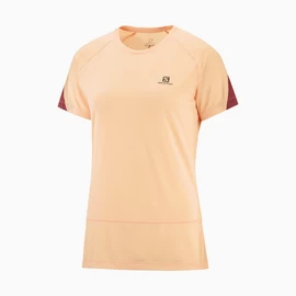 Damen T-Shirt Salomon Cross Run SS Tee Apricot Ice