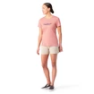 Damen T-Shirt Smartwool  Merino Sport 150 Dragonfly Summit Short Sleeve Light Mahogany