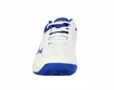 Damen Tennisschuhe Mizuno  Wave Exceed Tour 4 CC White/Blue