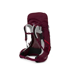 Damenrucksack OSPREY AURA AG LT 50 antidote purple
