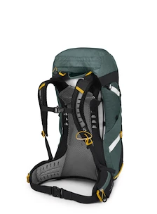 Damenrucksack OSPREY  SIRRUS 36 Succulent Green
