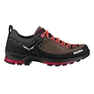 Damenschuhe Salewa  MTN Trainer 2 GTX