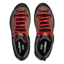 Damenschuhe Salewa  MTN Trainer 2 GTX