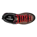 Damenschuhe Salewa  MTN Trainer 2 GTX