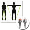 Ein Verband Schildkröt  Exercise Band