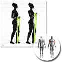 Ein Verband Schildkröt  Exercise Band