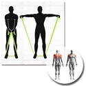 Ein Verband Schildkröt  Exercise Band