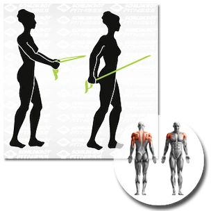 Ein Verband Schildkröt  Exercise Band